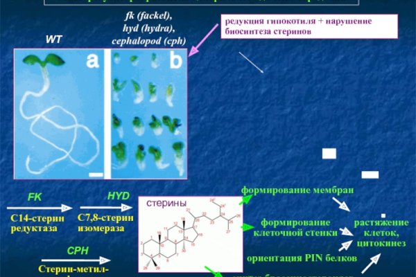 Кракен ссылка оригинал