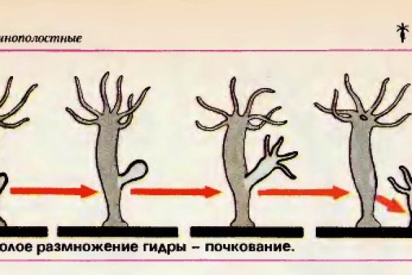 Кракен что продается