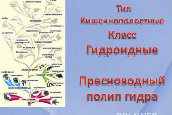 Как зарегистрироваться в кракен в россии