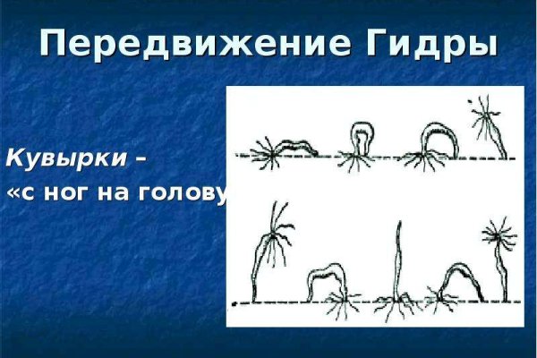 Сайт кракена актуальный